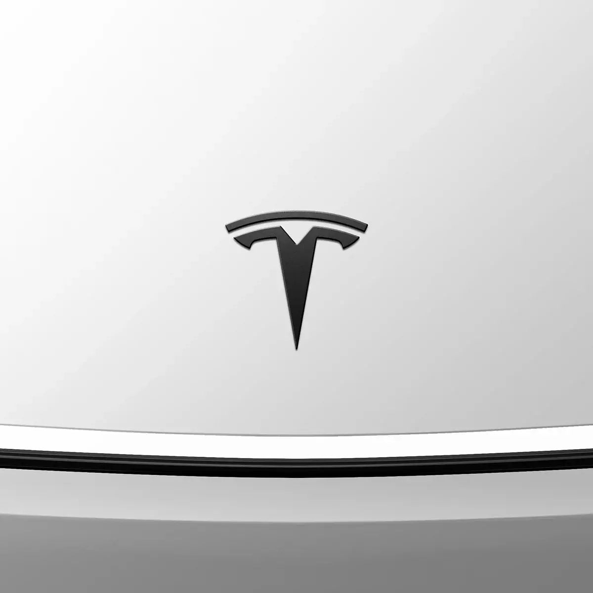 Tesla Model Y Juniper (2025) Front Emblem Logo Cover TD100B